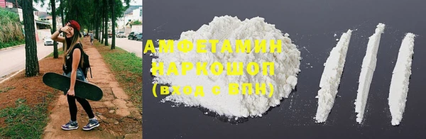 молекула духа Гусев