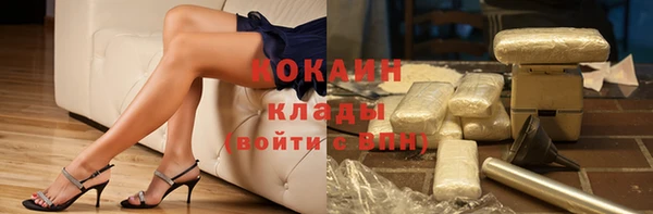 молекула духа Гусев