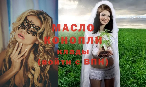 молекула духа Гусев