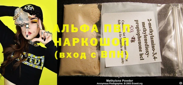 молекула духа Гусев