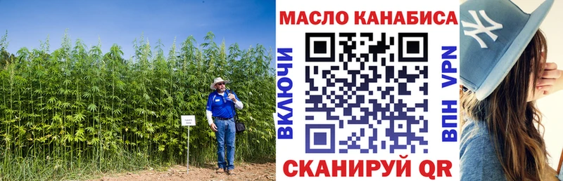Купить закладки  Перевоз  ТГК вейп 
