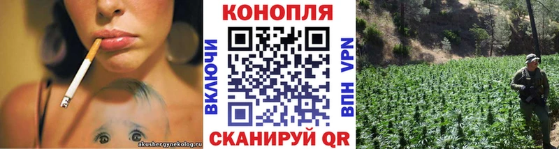 МАРИХУАНА OG Kush  Купить  Перевоз 